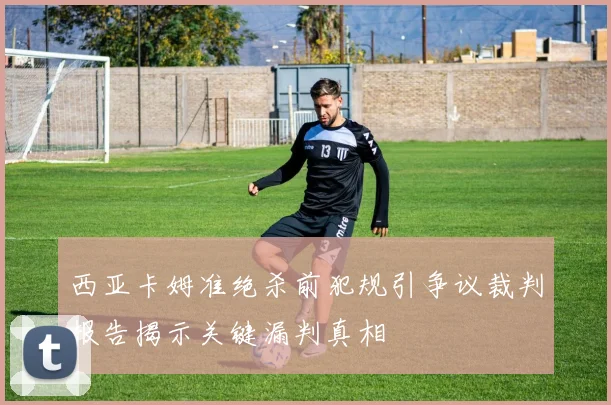 西亚卡姆准绝杀前犯规引争议裁判报告揭示关键漏判真相