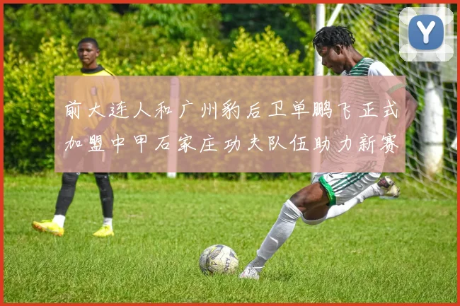 前大连人和广州豹后卫单鹏飞正式加盟中甲石家庄功夫队伍助力新赛季